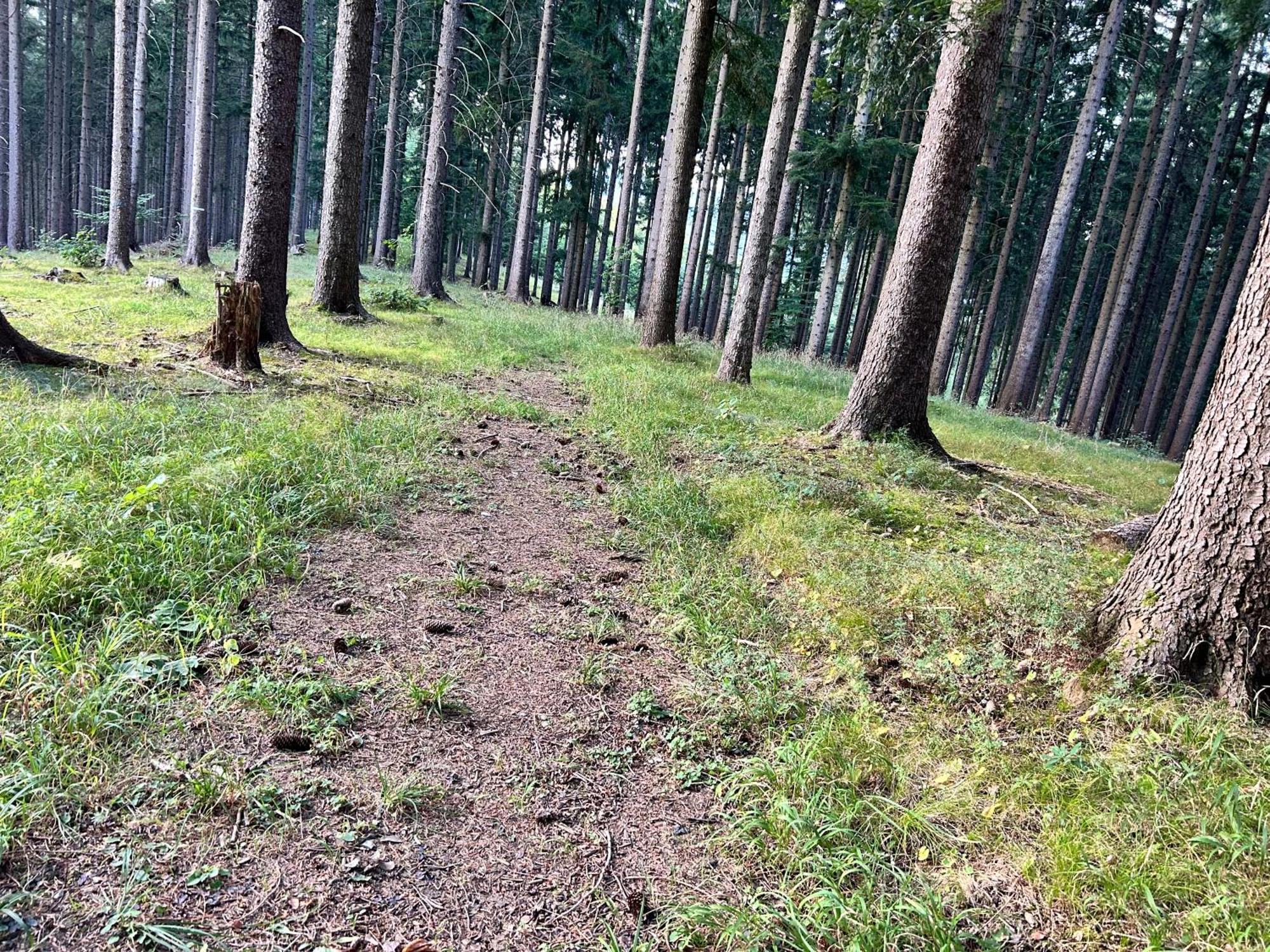 Horska Rezort Ruzomberok Exteriér fotografie
